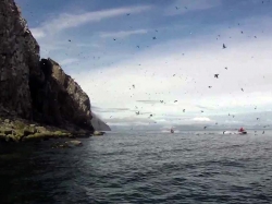 Какой пролив самый широкий в России