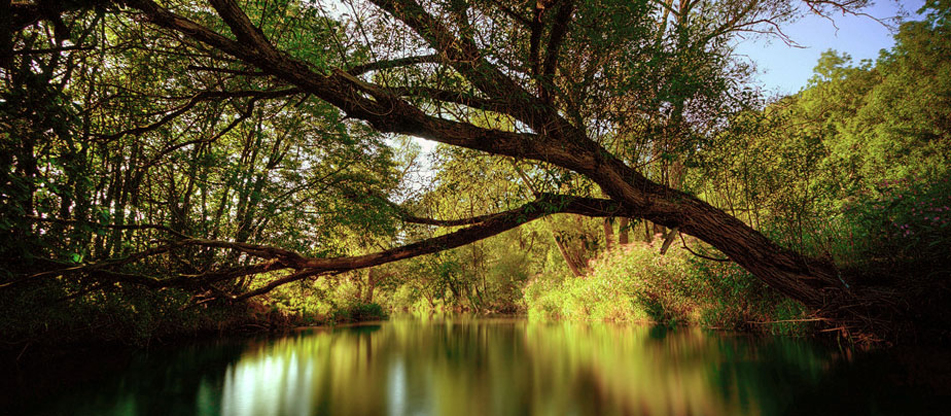 Природа и климат